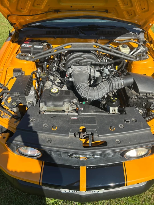 2008 Ford S197 Mustang - Image 8 of 21