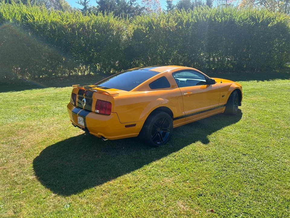 2008 Ford S197 Mustang - Image 7 of 21