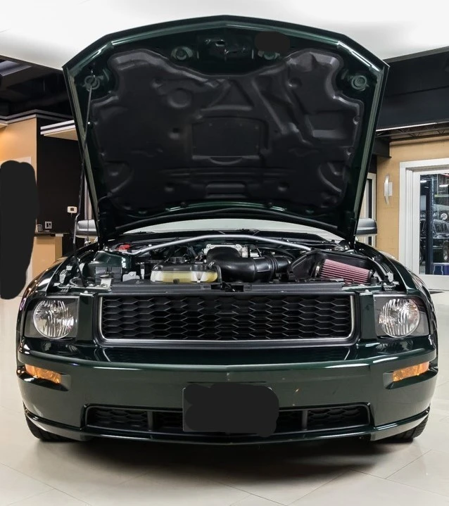 2008 Ford S197 Mustang - Image 18 of 21