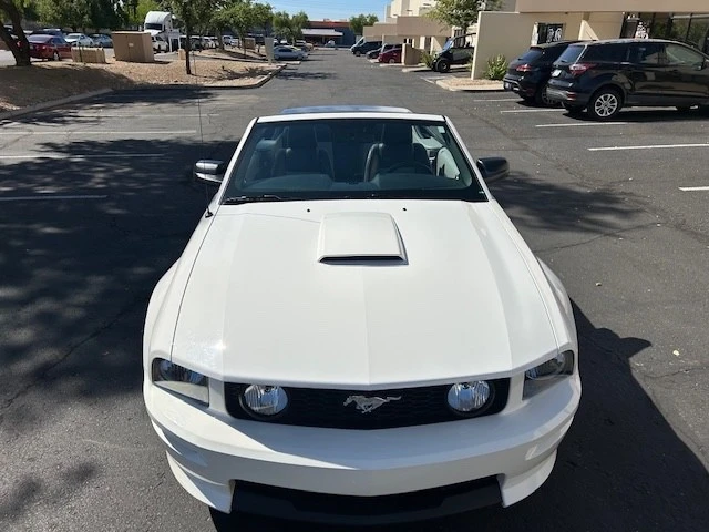 2008 Ford S197 Mustang - Image 13 of 21