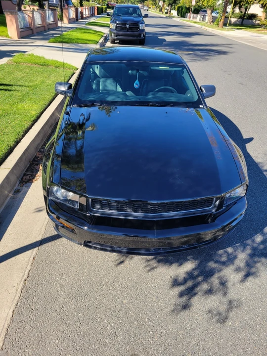 2008 Ford S197 Mustang - Image 14 of 20