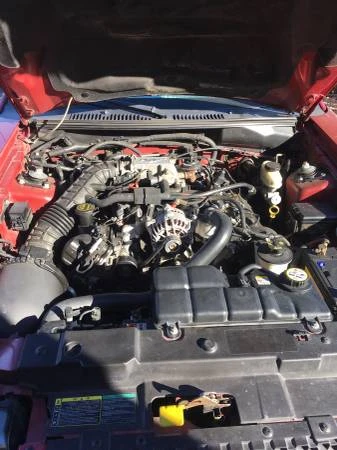 2008 Ford S197 Mustang - Image 15 of 20