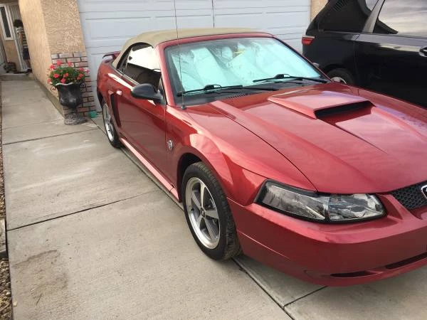2008 Ford S197 Mustang - Image 8 of 20