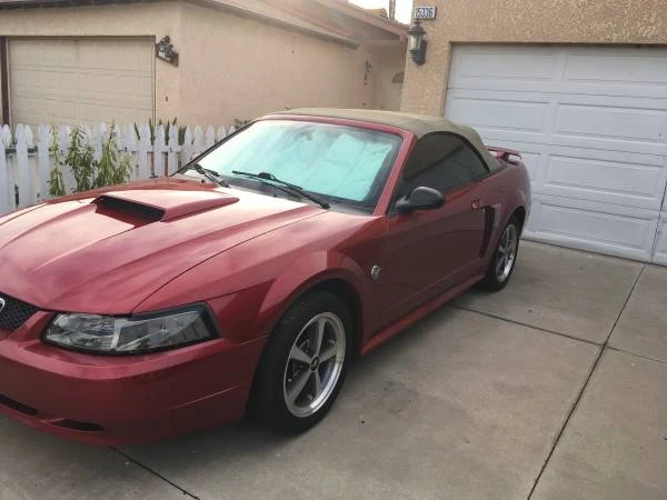 2008 Ford S197 Mustang - Image 18 of 20