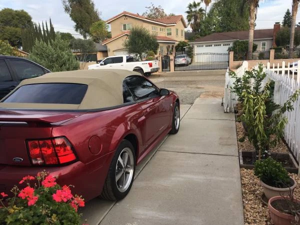 2008 Ford S197 Mustang - Image 20 of 20