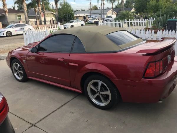 2008 Ford S197 Mustang - Image 17 of 20
