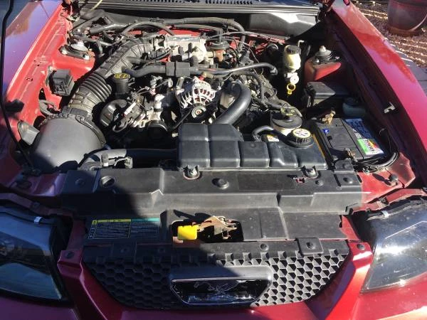 2008 Ford S197 Mustang - Image 10 of 20