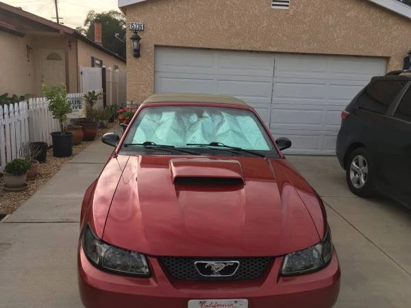 2008 Ford S197 Mustang - Image 16 of 20