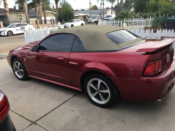 2008 Ford S197 Mustang - Image 19 of 20