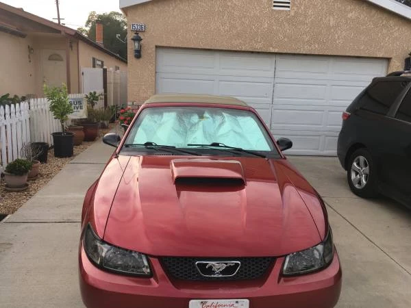 2008 Ford S197 Mustang - Image 11 of 20