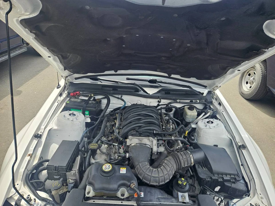 2008 Ford S197 Mustang GT - Image 20 of 22