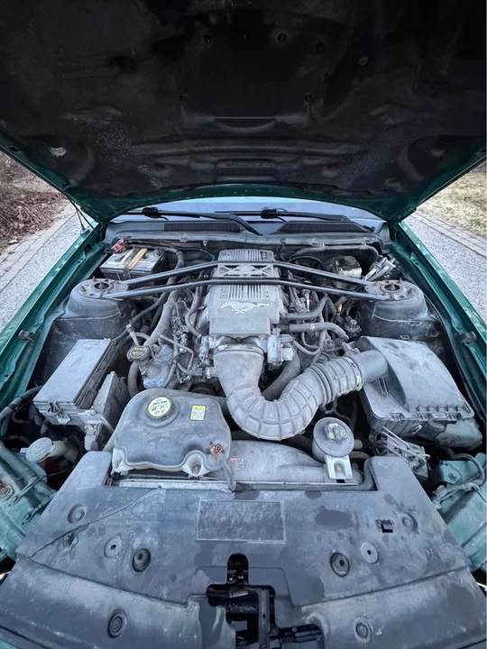 2008 Ford S197 Mustang GT - Image 11 of 20