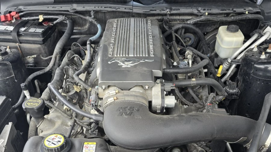 2008 Ford S197 Mustang - Image 14 of 14