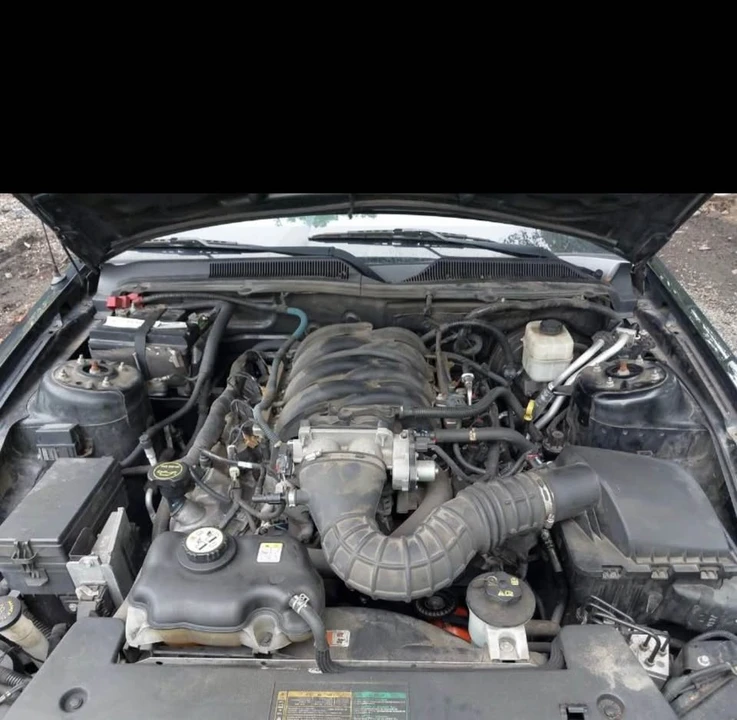 2008 Ford S197 Mustang - Image 4 of 5