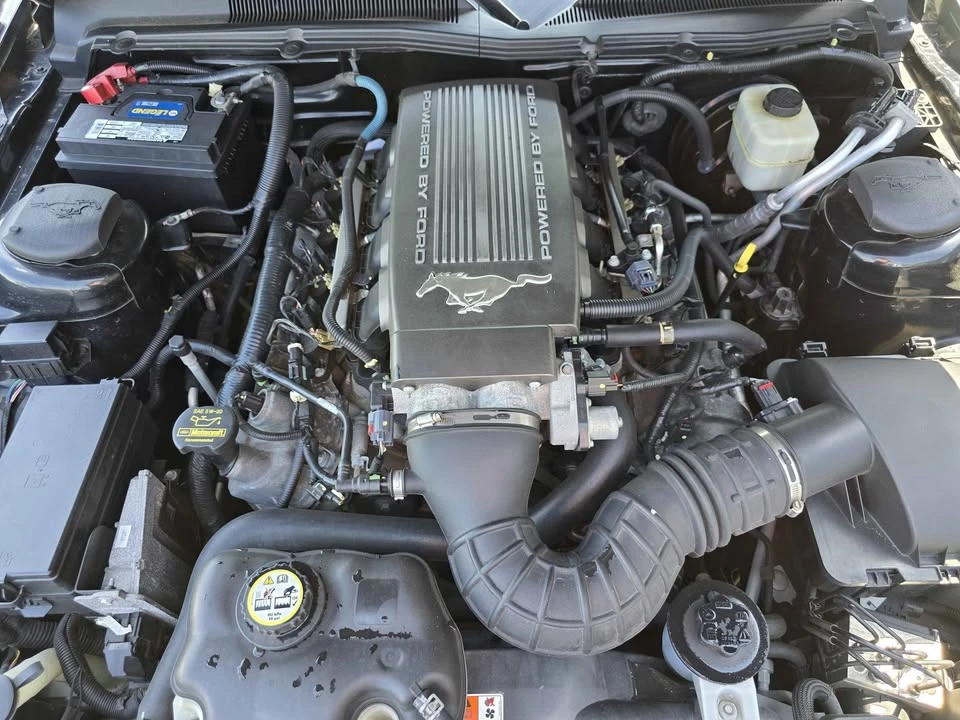 2008 Ford S197 Mustang GT - Image 15 of 20