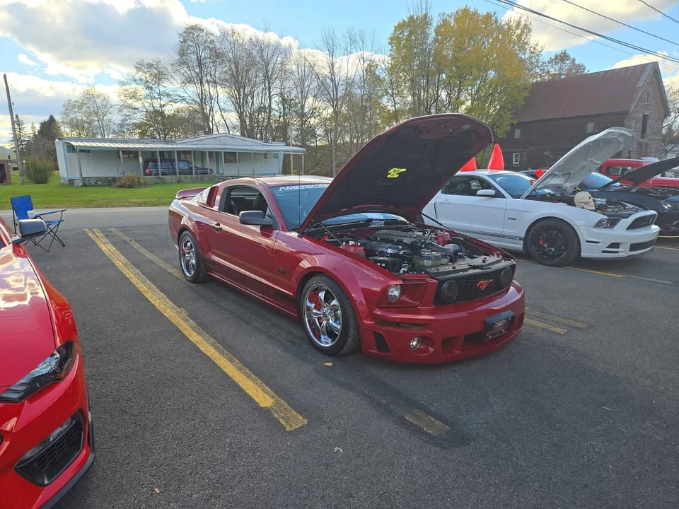 2008 Ford S197 Mustang - Image 6 of 13