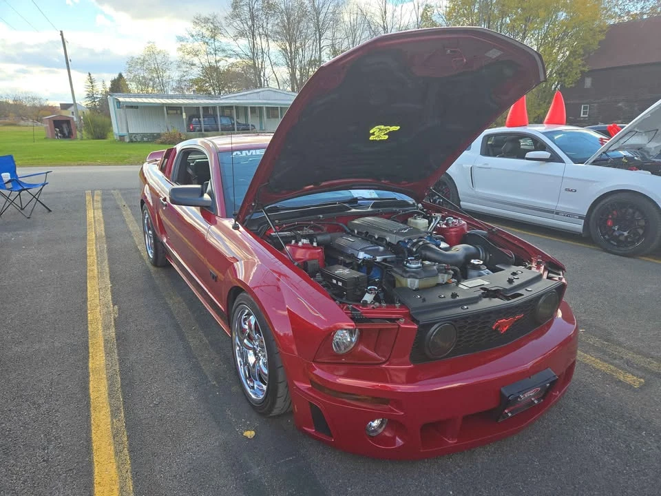 2008 Ford S197 Mustang - Image 2 of 13