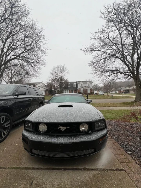 2008 Ford S197 Mustang - Image 5 of 8