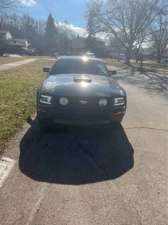 2008 Ford S197 Mustang - Image 4 of 8