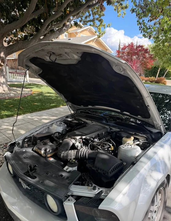 2008 Ford S197 Mustang GT - Image 12 of 13