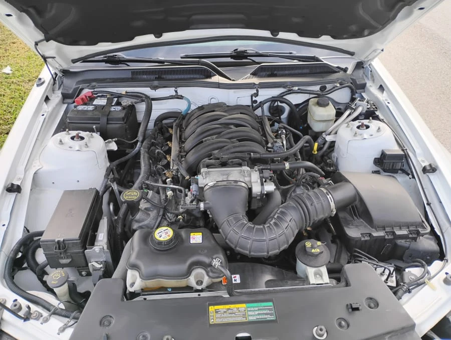 2008 Ford S197 Mustang - Image 16 of 22