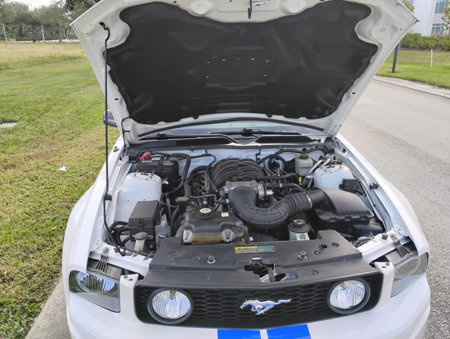 2008 Ford S197 Mustang - Image 17 of 22