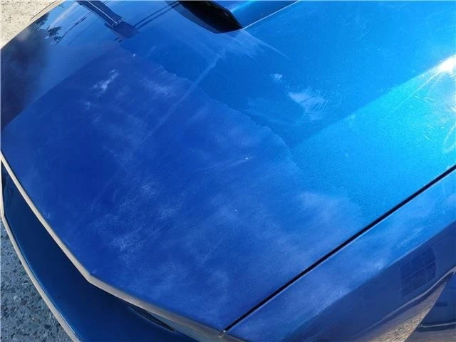 2008 Ford S197 Mustang - Image 11 of 21