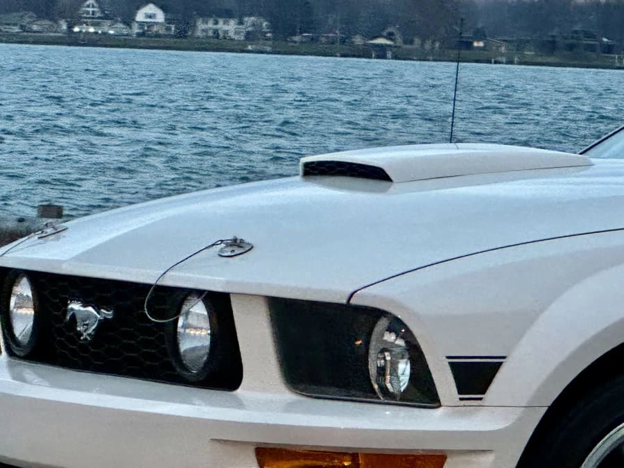 2008 Ford S197 Mustang - Image 13 of 23