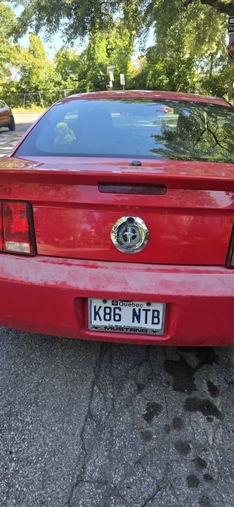 2008 Ford S197 Mustang - Image 3 of 8