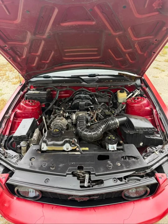 2008 Ford S197 Mustang - Image 5 of 15