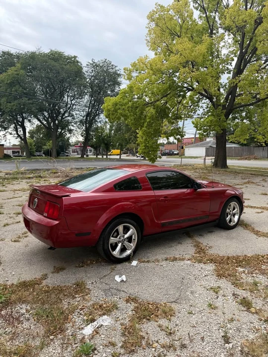 2008 Ford S197 Mustang - Image 3 of 15