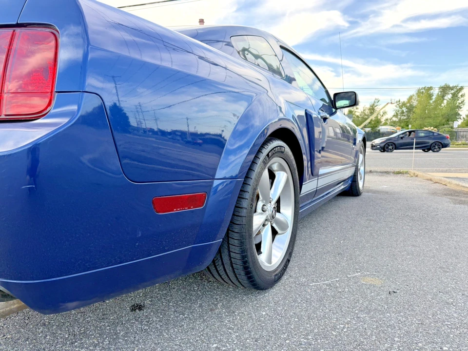 2008 Ford S197 I Shelby Mustang CS6/8 & GT & GT-H & Terlingua - Image 8 of 31