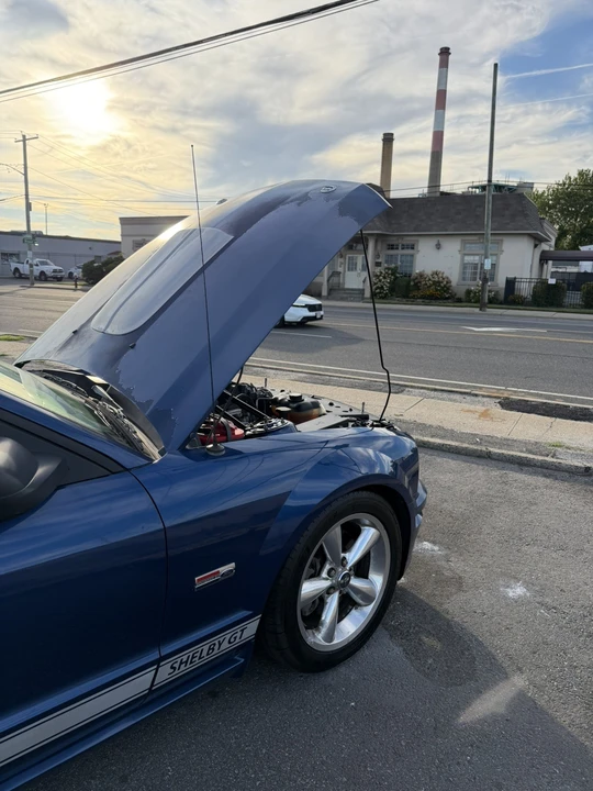 2008 Ford S197 I Shelby Mustang CS6/8 & GT & GT-H & Terlingua - Image 22 of 31