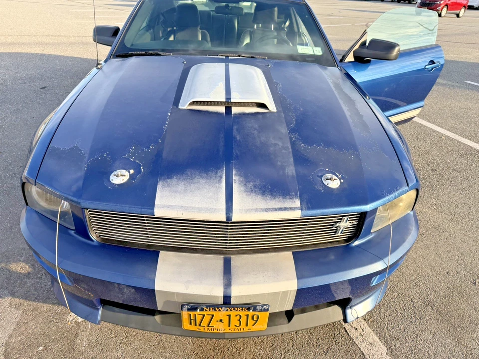 2008 Ford S197 I Shelby Mustang CS6/8 & GT & GT-H & Terlingua - Image 23 of 31