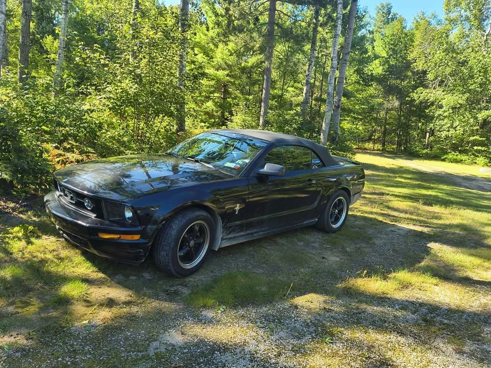 2008 Ford S197 Mustang - Image 3 of 4