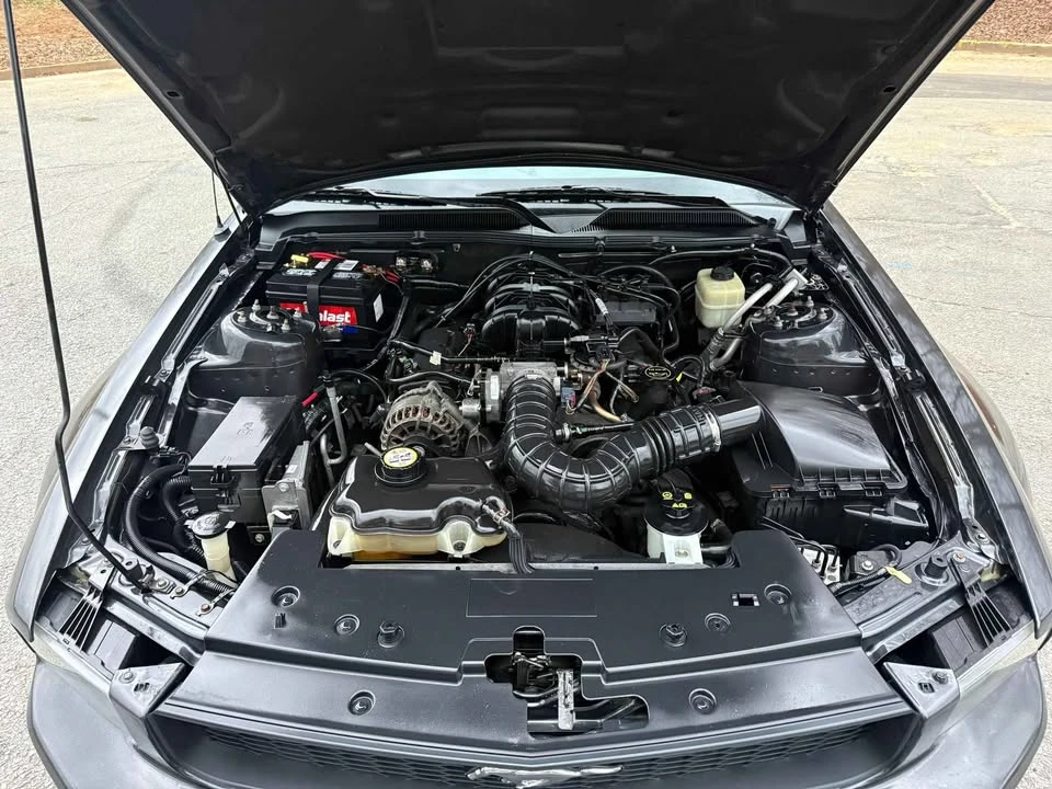 2008 Ford S197 Mustang - Image 16 of 16