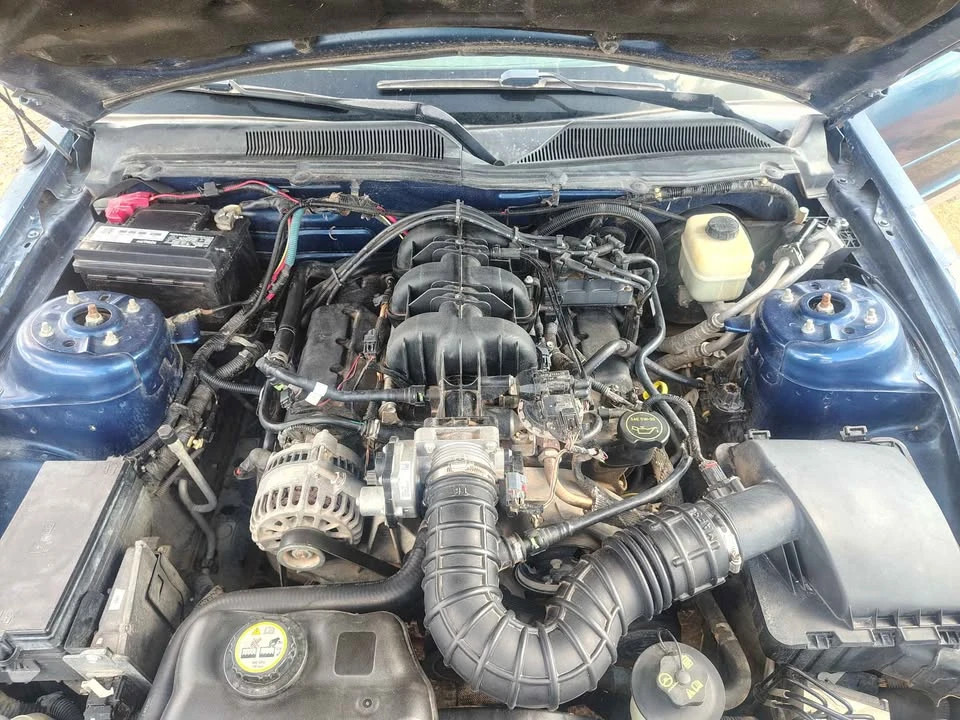 2008 Ford S197 Mustang - Image 2 of 11