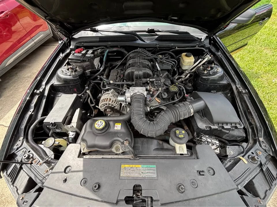 2008 Ford S197 Mustang - Image 15 of 16
