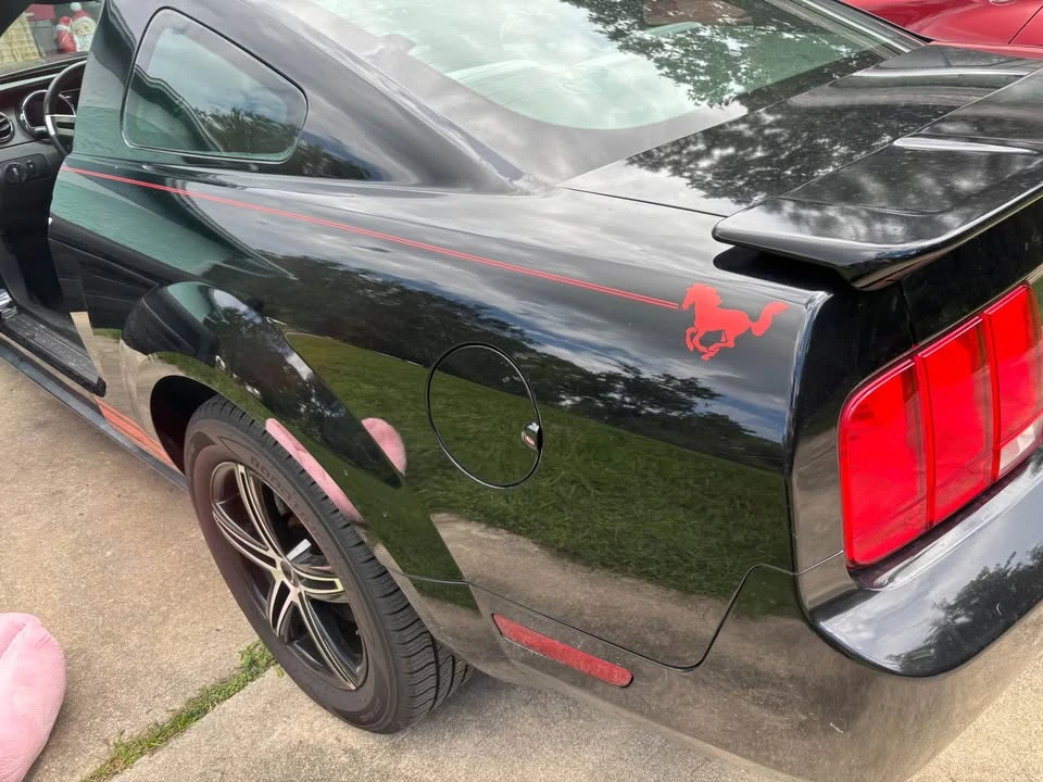 2008 Ford S197 Mustang - Image 13 of 16