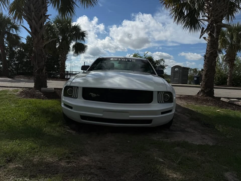 2008 Ford S197 Mustang - Image 8 of 11