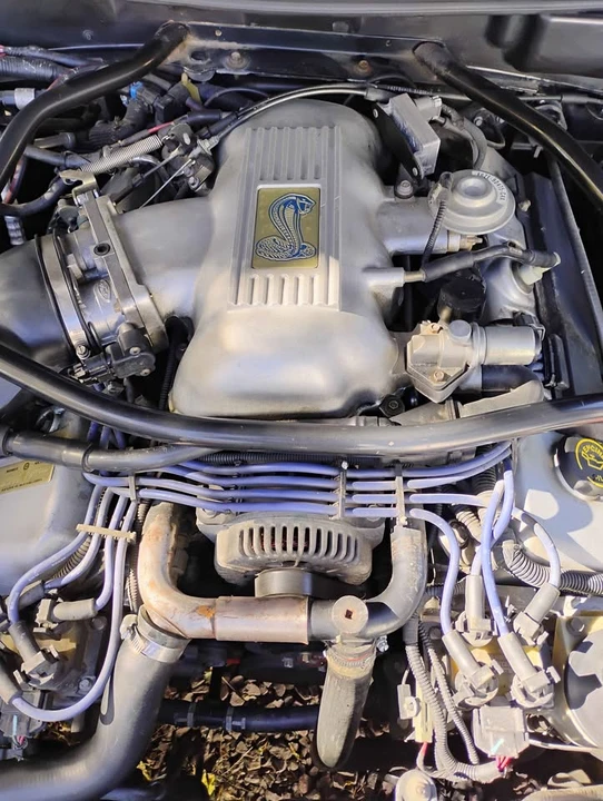 2008 Ford S197 Mustang - Image 6 of 8