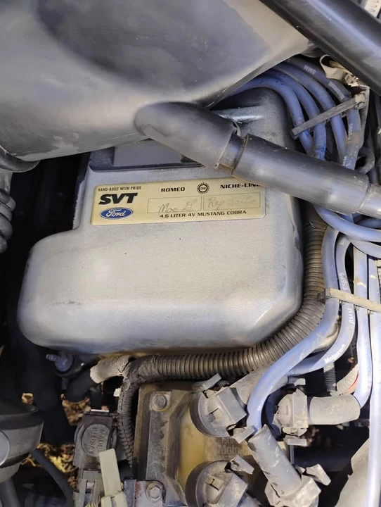 2008 Ford S197 Mustang - Image 7 of 8