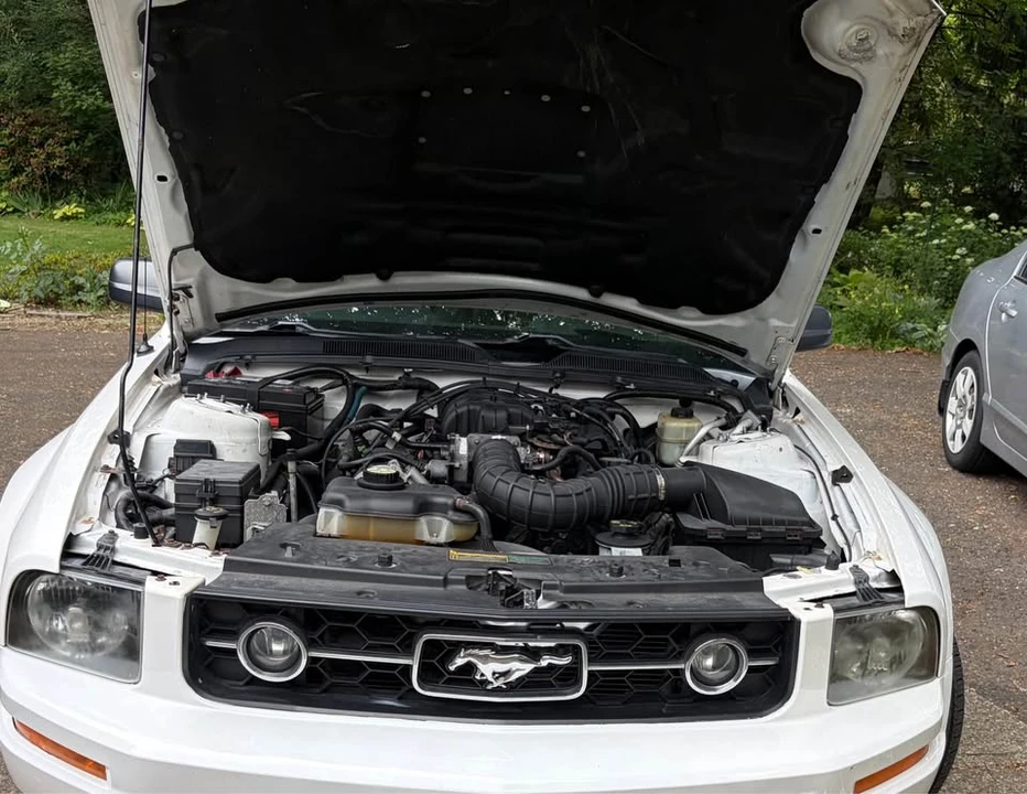 2008 Ford S197 Mustang - Image 2 of 5