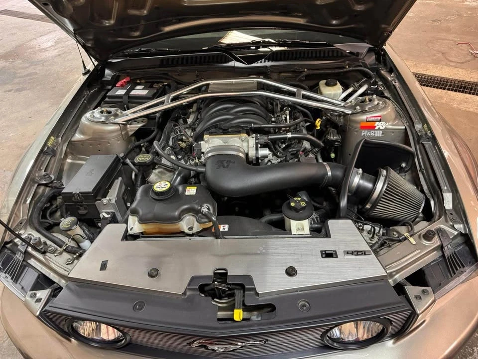 2008 Ford S197 Mustang - Image 16 of 17