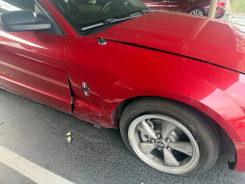2008 Ford S197 Mustang - Image 7 of 12