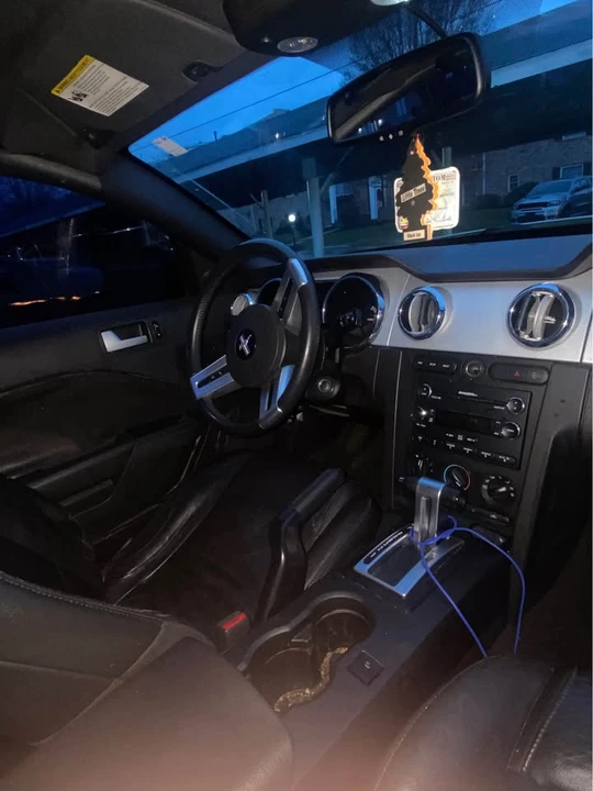 2008 Ford S197 Mustang - Image 6 of 9