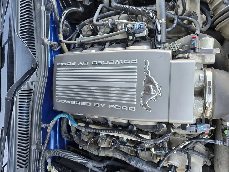 2008 Ford S197 Mustang - Image 15 of 18