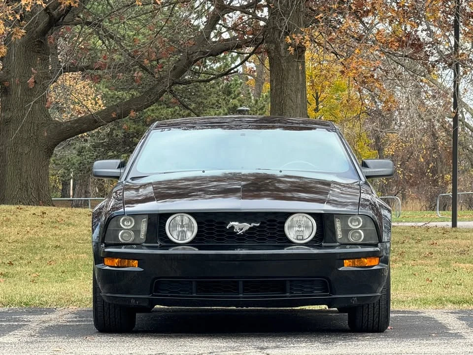 2008 Ford S197 Mustang - Image 12 of 20