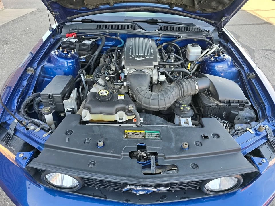 2008 Ford S197 Mustang - Image 16 of 18