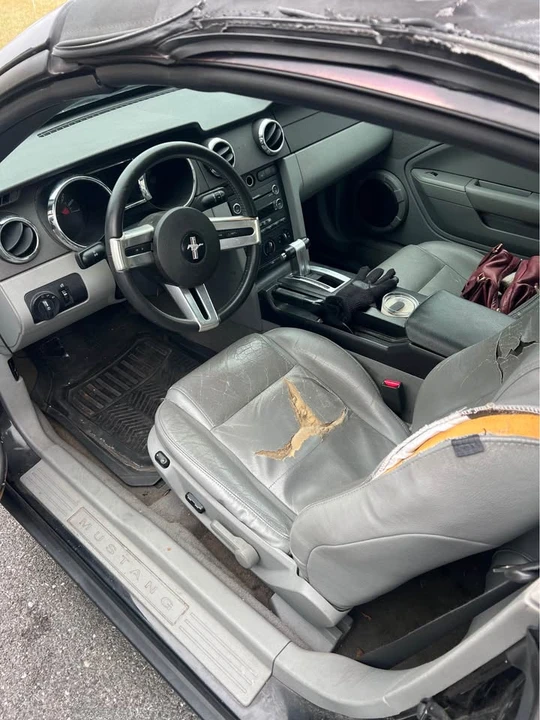 2008 Ford S197 Mustang - Image 9 of 11